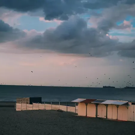 דירה Dunes De - Luxurious Open Loft בלנקנברג