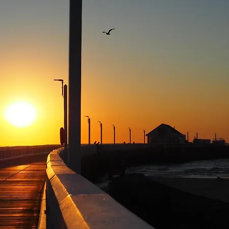 アパート Dunes De - Luxurious Open Loft ブランケンベルヘ